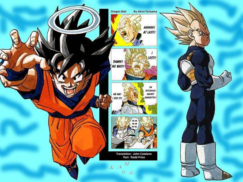 Dragonball Z 025.jpg